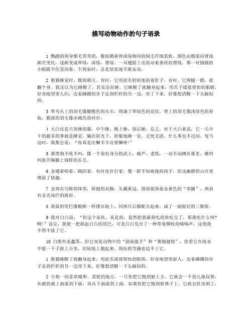 描写动物动作的句子语录