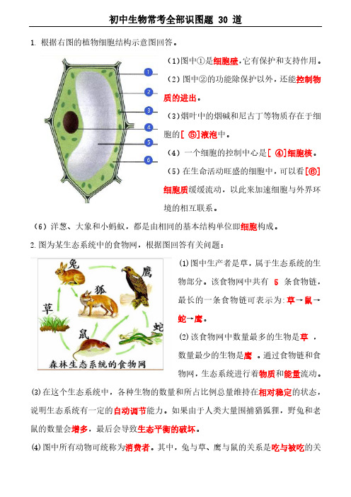 初中生物常考识图题解析版