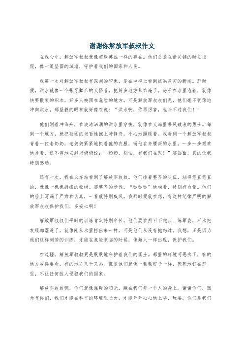 谢谢你解放军叔叔作文