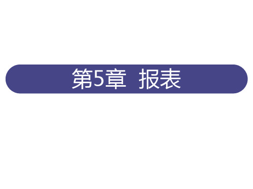 Access2010数据库基础教程第5章-报表讲课教案