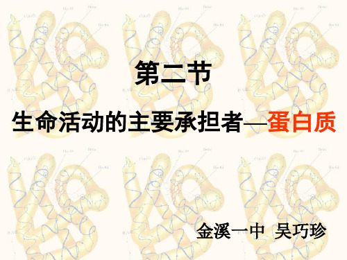 人教版高中生物第2章组成细胞的分子第2节 《生命活动的主要承担者》课件