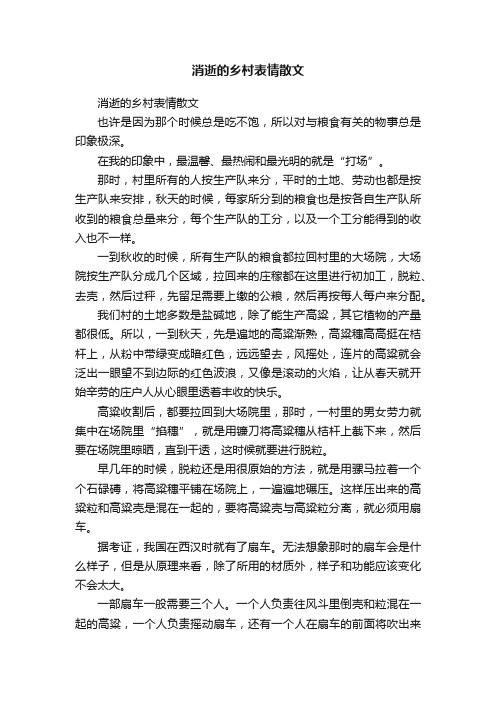 消逝的乡村表情散文