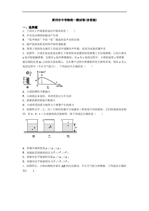 黄冈市中考物理一模试卷(含答案)