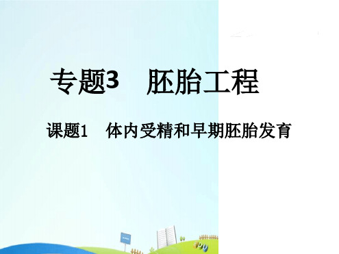 高中生物专题3胚胎工程31体内受精和早期胚胎发育课件新人教选修3