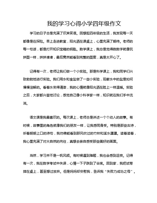 我的学习心得小学四年级作文