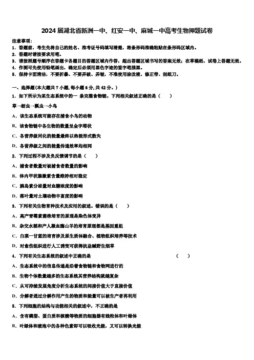 2024届湖北省新洲一中、红安一中、麻城一中高考生物押题试卷含解析