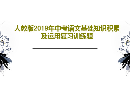 人教版2019年中考语文基础知识积累及运用复习训练题共56页