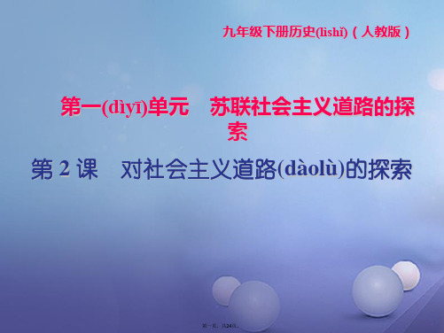 九年级历史下册第一单元苏联社会主义道路的探索第2课对社会主义道路的探索闯关习题课件新人教版