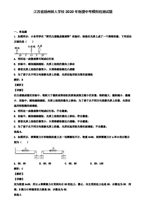 江苏省扬州树人学校2020年物理中考模拟检测试题(含答案有解析)