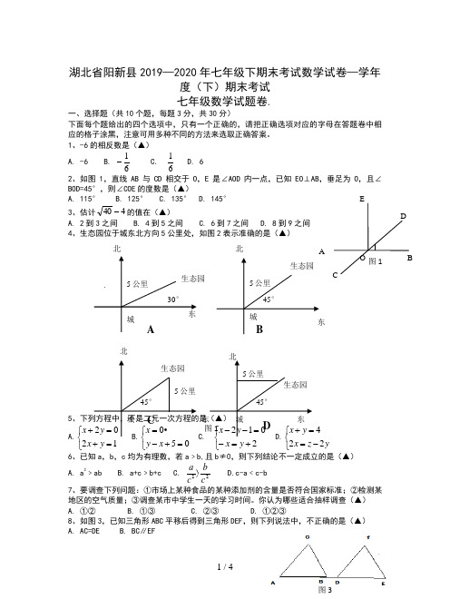 湖北省阳新县2019—2020年七年级下期末考试数学试卷