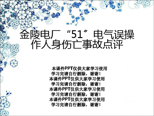 金陵电厂“51”电气误操作人身伤亡事故点评