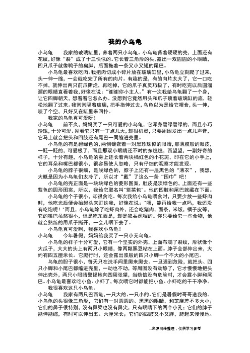 我的小乌龟_六年级作文