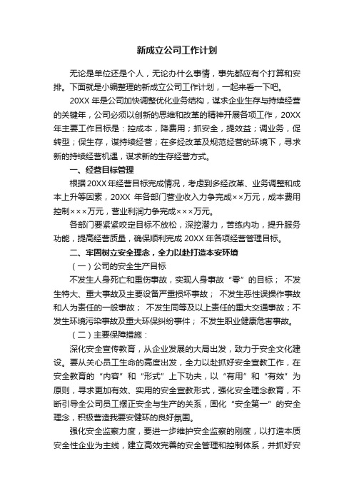 新成立公司工作计划