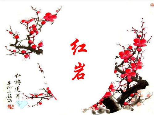 中考复习:名著导读红岩ppt优秀课件