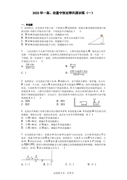 2023华中师大一附中：动量守恒定律巩固训练(一)(含详细解析)(1)