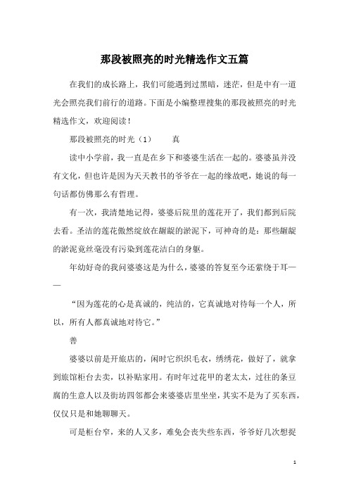 那段被照亮的时光精选作文五篇