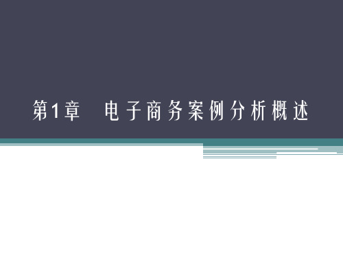 电子商务案例分析概述