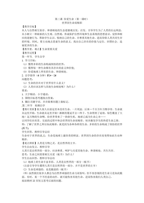 第三课珍爱生命