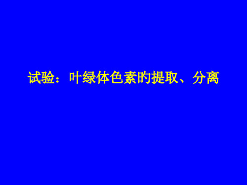 实验绿叶中色素的提取和分离