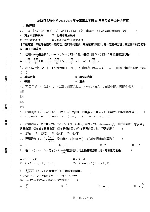 龙游县实验中学2018-2019学年高三上学期11月月考数学试卷含答案