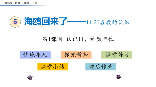 青岛版一年级数学上册《海鸥回来了》教学PPT课件(4篇)