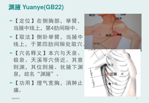 经络腧穴学(含穴名释义)-足少阳胆经下