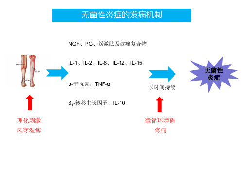 无菌性炎症 