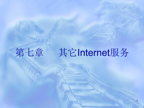 其它internet服务