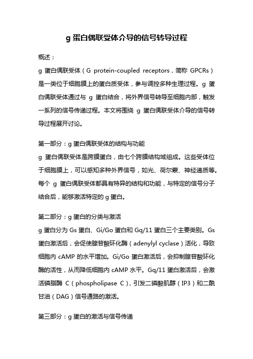 g蛋白偶联受体介导的信号转导过程