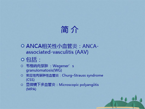 ANCA相关性小血管炎的诊治(共43张PPT)