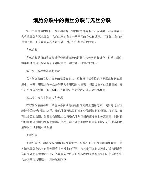 细胞分裂中的有丝分裂与无丝分裂