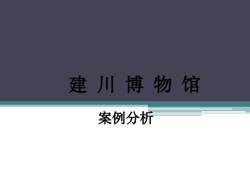 建川博物馆各馆案例分析0207-文档资料
