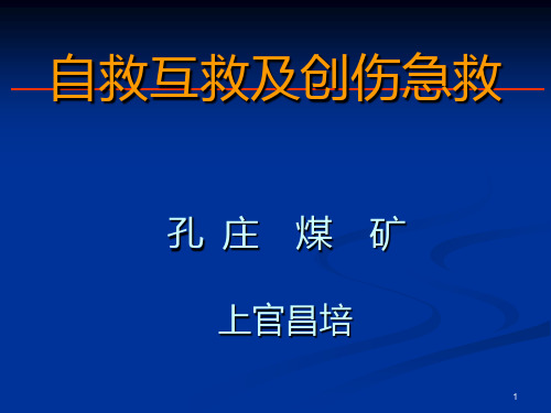 自救互救及创伤急救PPT课件