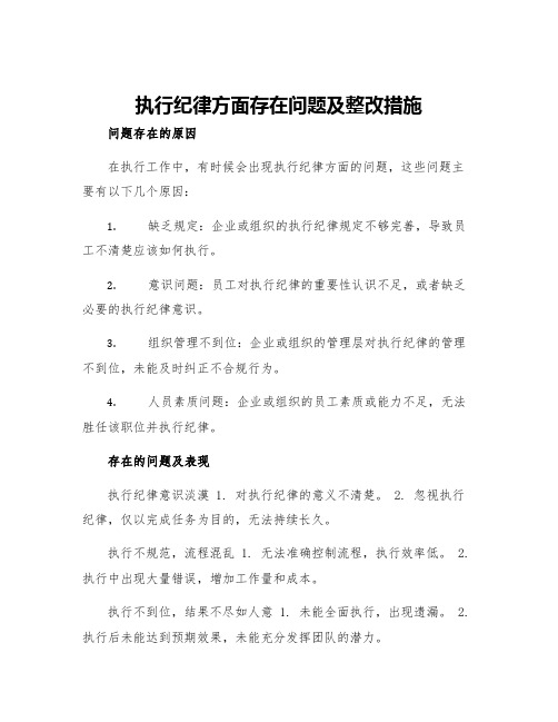 执行纪律方面存在问题及整改措施