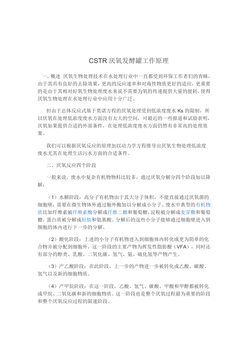 CSTR厌氧发酵罐工作原理