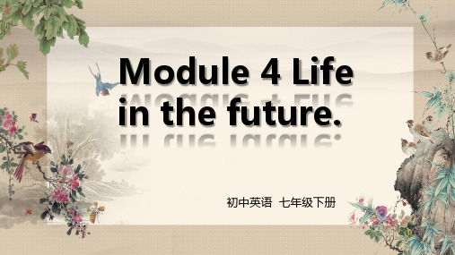 外研版英语七年级下册 module 4 巩固与复习 课件(共23张PPT)