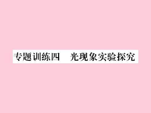 第四章专题训练四 光现象实验探究—2020秋沪科版八年级物理上册课堂作业课件