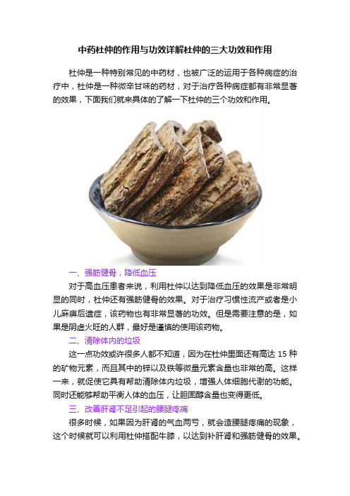 中药杜仲的作用与功效详解杜仲的三大功效和作用