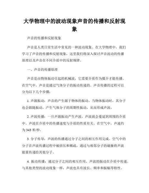 大学物理中的波动现象声音的传播和反射现象