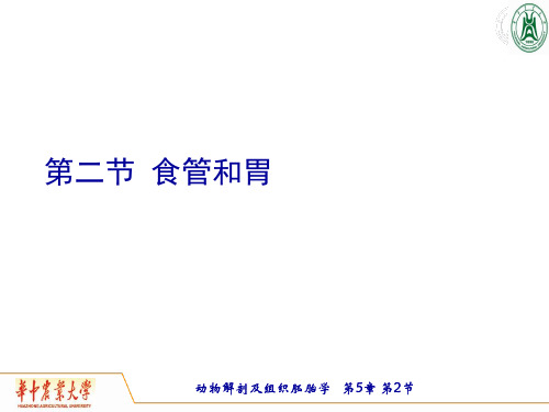 《畜禽解剖学》教学课件：2消化系统