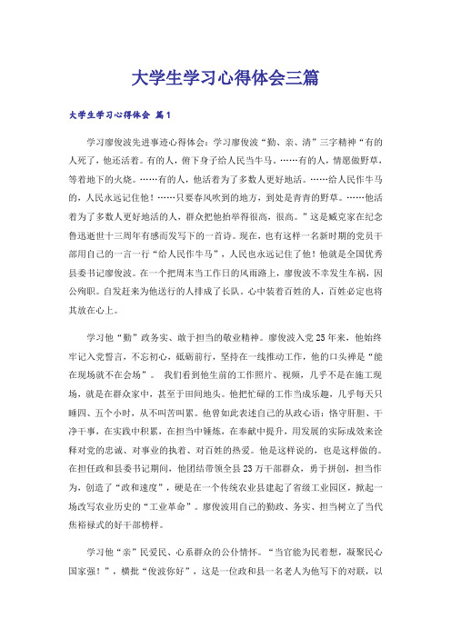 大学生学习心得体会三篇