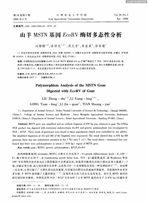 山羊MSTN基因EcoRV酶切多态性分析