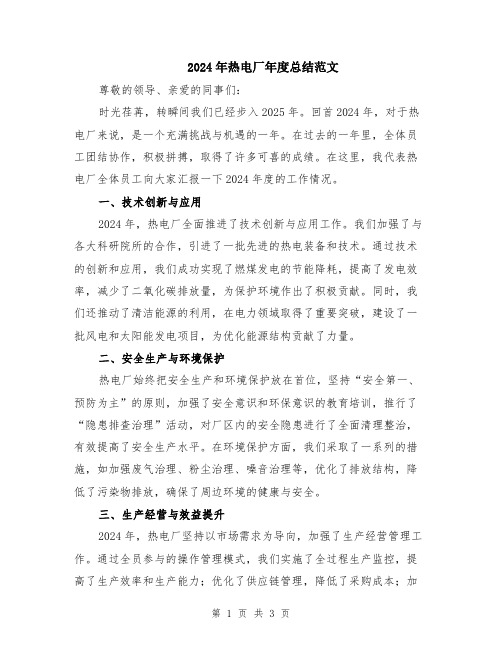 2024年热电厂年度总结范文