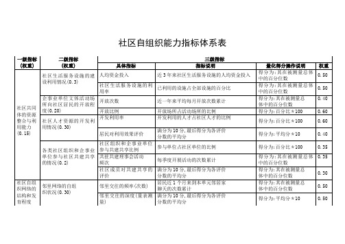 社区自组织能力指标体系表