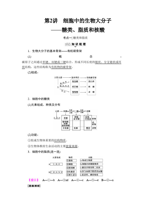 2020届 一轮复习苏教版 糖类、脂质和核酸 教案.doc