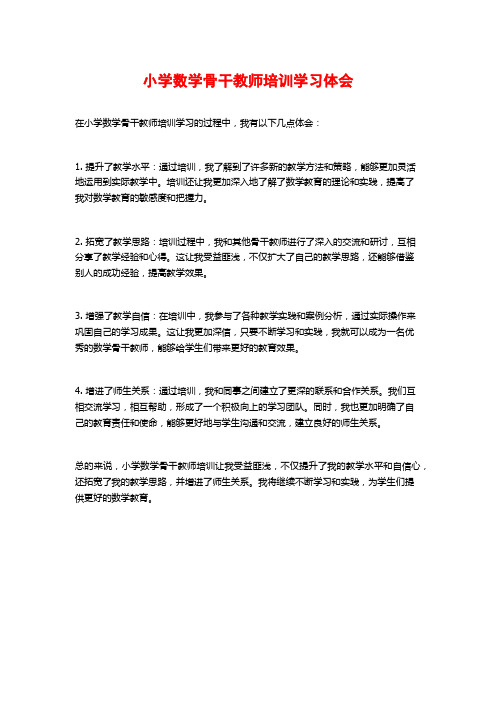 小学数学骨干教师培训学习体会