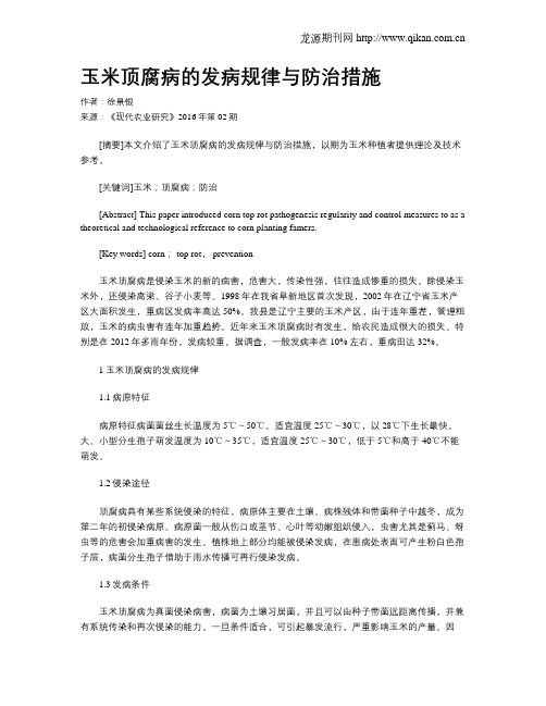 玉米顶腐病的发病规律与防治措施