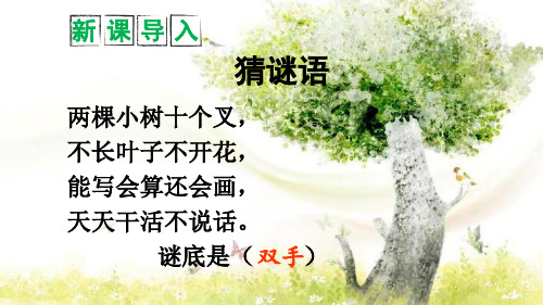 一年级上册语文课件 - 《6 画 》(共45张PPT) 人教部编版