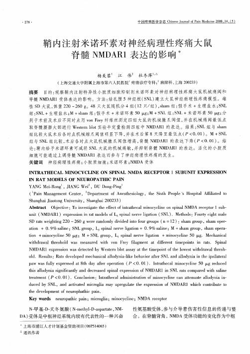 鞘内注射米诺环素对神经病理性疼痛大鼠脊髓NMDAR1表达的影响