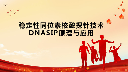 稳定性同位素核酸探针技术DNASIP原理与应用